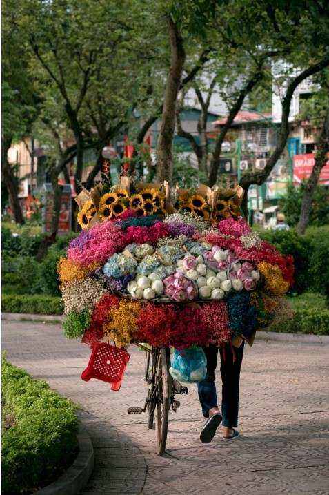 Installation florale