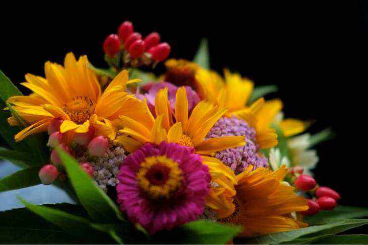Arche florale luxe